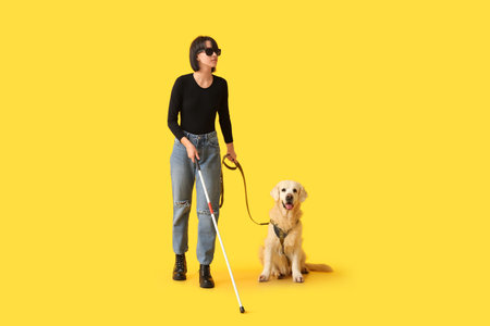 Blind woman with guide dog on yellow backgroundの写真素材