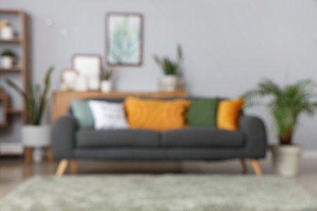 Blurred view of stylish living room with sofa, plants and framesの写真素材