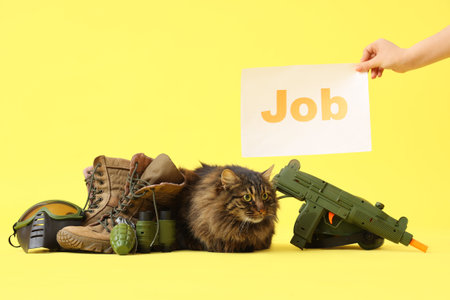 Cute cat with military uniform, boots and hand with the word JOB on yellow backgroundの写真素材