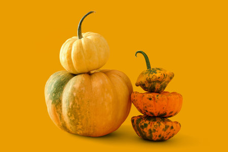 Many pumpkins on orange backgroundの写真素材