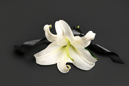 Beautiful lily flowers with black funeral ribbon on dark backgroundの写真素材