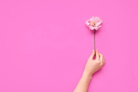 Female hand with beautiful eustoma flower on pink backgroundの写真素材