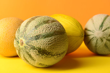 Different sweet melons on colorful background