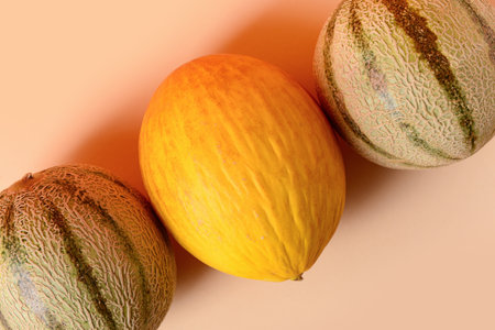 Different sweet melons on orange backgroundの写真素材