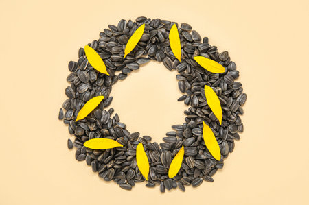 Frame made of sunflower petals and seeds on beige background