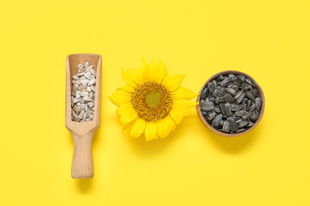 Beautiful sunflower and bowl with seeds on yellow backgroundの写真素材