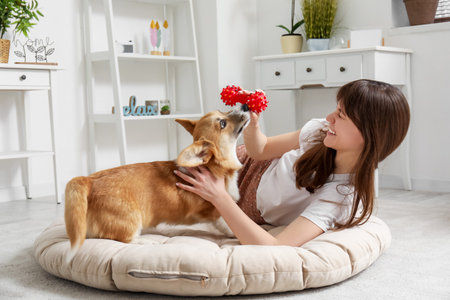 Pretty young woman lying on pet bed and playing with cute Corgi dog in living roomの写真素材