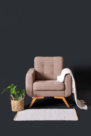 Cozy brown armchair with blanket and houseplant on black backgroundの写真素材