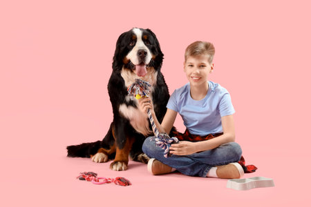 Little boy with toy and Bernese mountain dog on pink background