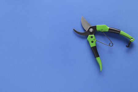 Gardening secateurs on blue backgroundの写真素材