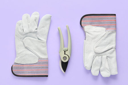 Gloves and secateurs on purple background