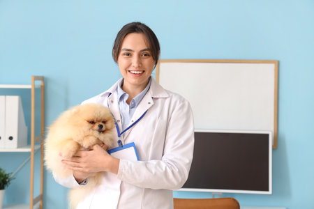 Female veterinarian with cute Pomeranian dog in clinicの写真素材