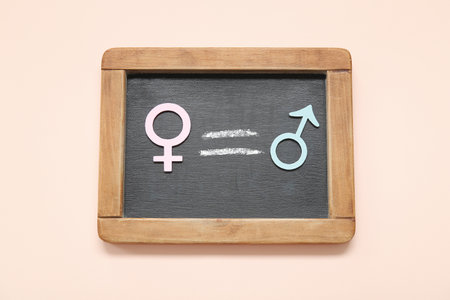 Blackboard with female and male gender symbols and equal sign on pink background. Gender equality conceptの写真素材