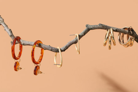 Tree branch with beautiful earrings on beige background, closeup