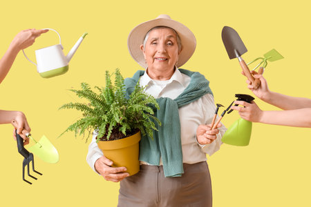 Senior gardener with plant and tools on yellow backgroundの写真素材