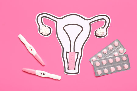 Paper uterus with pills and pregnancy tests on pink backgroundの写真素材