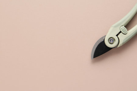 Gardening gray secateurs on brown backgroundの写真素材
