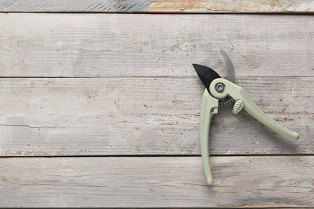 Gardening secateurs on wooden backgroundの写真素材