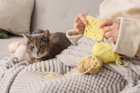 Senior woman with cat knitting on sofa at home, closeupの写真素材