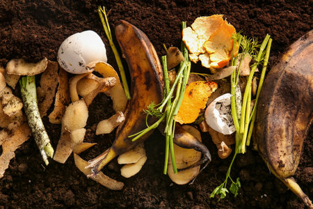Organic waste on soil, closeup. Compost recycling conceptの写真素材