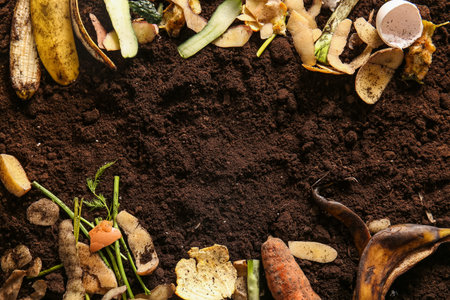 Frame made from organic waste on soil. Compost recycling concept