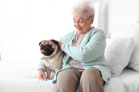 Senior woman with cute pug dog sitting in bedroomの写真素材