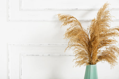 Vase with pampas grass on white table near wallの写真素材