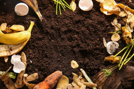 Frame made from organic waste on soil. Compost recycling concept