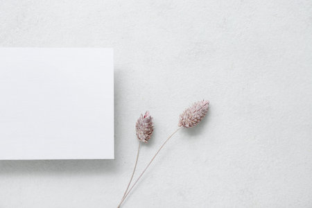 Blank card with dried phalaris on white grunge background