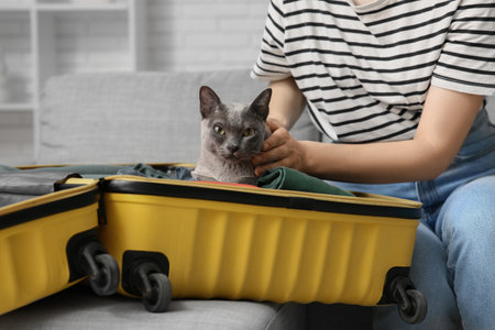 Young woman with cute cat in open suitcase at home, closeupの写真素材