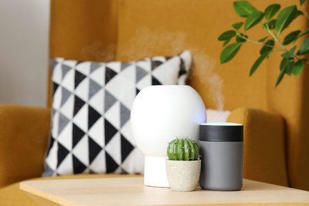 Air humidifier with cactus and vase on table in living room, closeup