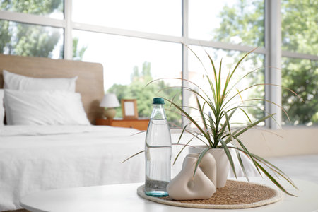 Bottle of water with decor and plant on table in bedroomの写真素材