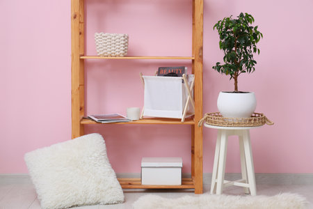 Shelving unit with houseplant and pillow near pink wall in roomの写真素材