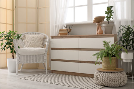 Interior of stylish living room with armchair, houseplants and chest of drawers