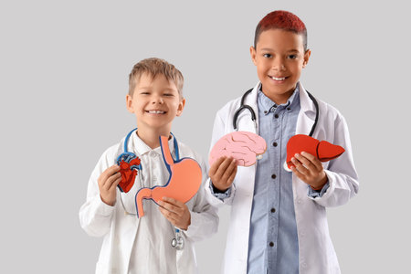 Little doctors with different paper organs on light backgroundの写真素材