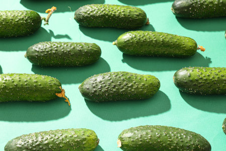 Fresh green cucumbers on color backgroundの写真素材