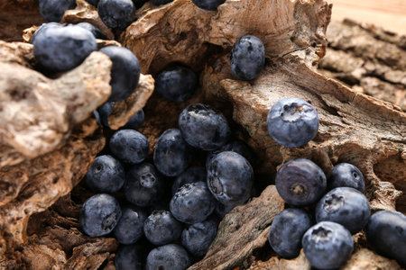 Sweet fresh blueberries on tree bark, closeupの写真素材