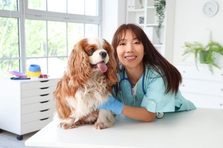Female Asian veterinarian with cute dog on table in clinic