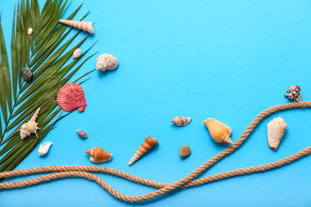 Beautiful seashells and palm leaves on blue background. Summer conceptの写真素材