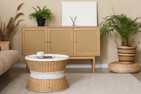 Stylish interior of living room with carpet, chest of drawers, coffee table and houseplantsの写真素材