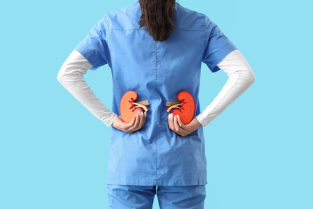Female doctor with paper kidneys on blue background, back view