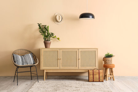 Interior of stylish living room with wooden cabinet, armchair and houseplants near beige wallの写真素材