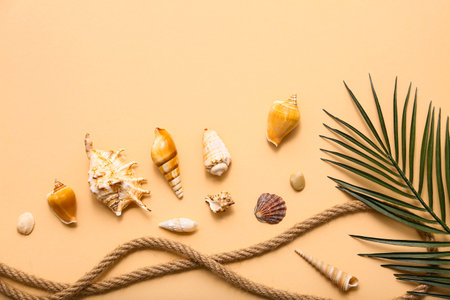 Palm leaves and seashells on beige background. Summer conceptの写真素材