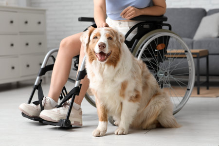 Service dog near woman in wheelchair at home
