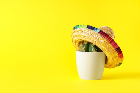 Cactus with Mexican sombrero on yellow background. Cinco de Mayoの写真素材