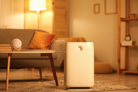 Stylish sofa and humidifier near coffee table in living room at evening