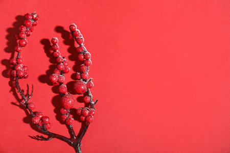 Beautiful branch with red berries and ice rime on color background