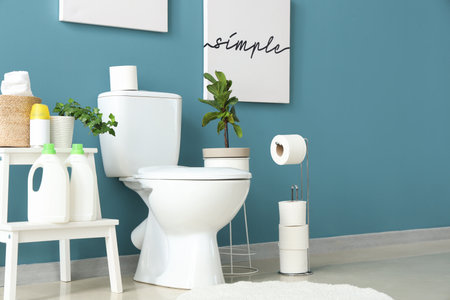 Toilet bowl, houseplants and paper holder in restroomの写真素材