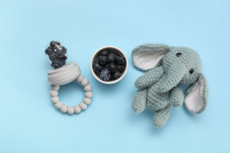 Baby nibbler, blueberry and knitted toy on color backgroundの写真素材