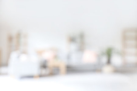 Interior of light living room with comfortable sofa, blurred viewの写真素材